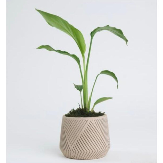 Desenli Modern Saksı Silikon Kalıp - KS3353