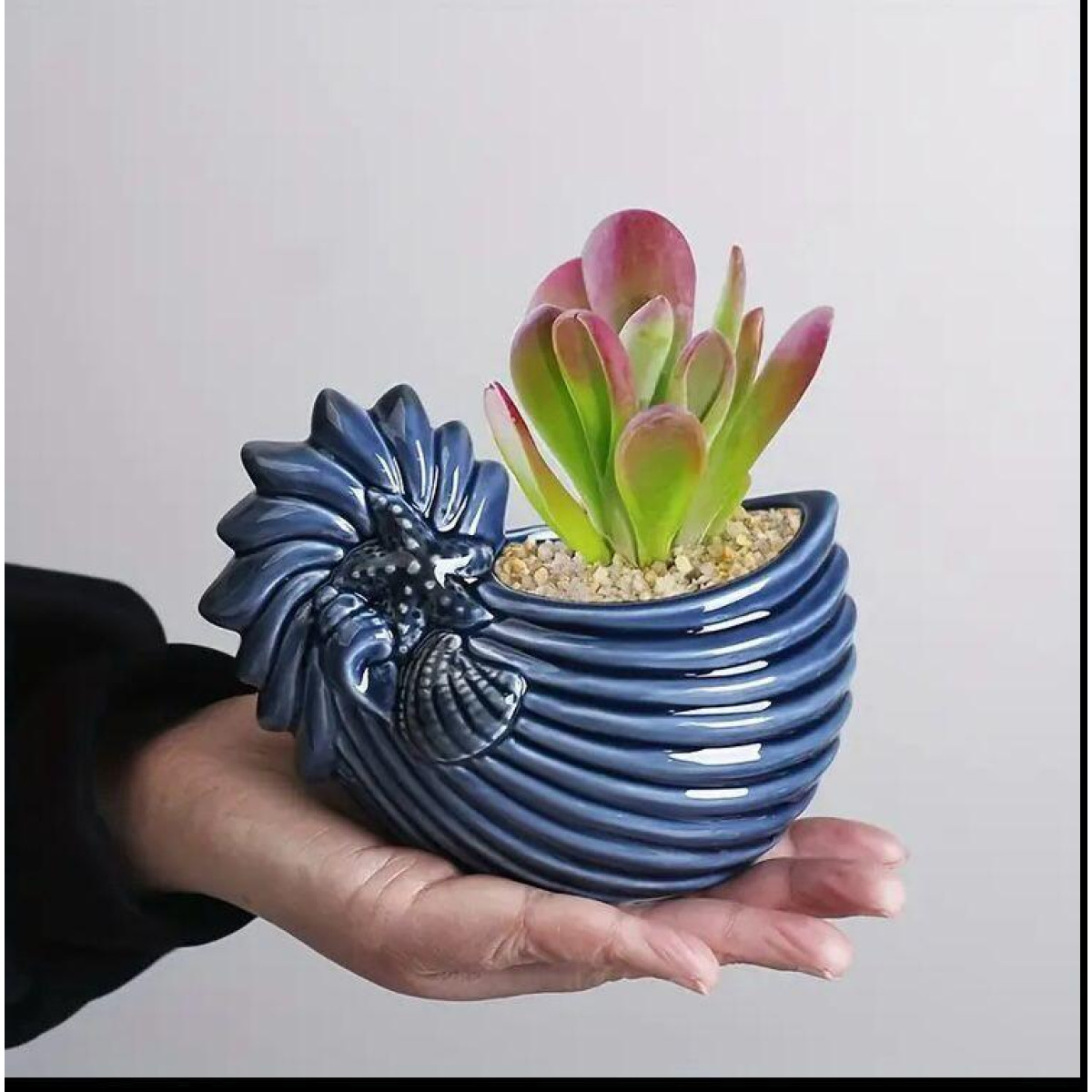 Kaktüs & Sukulent İçin Deniz Kabuğu Tasarımlı Silikon Kalıp – KS3328