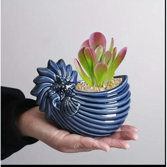 Kaktüs & Sukulent İçin Deniz Kabuğu Tasarımlı Silikon Kalıp – KS3328