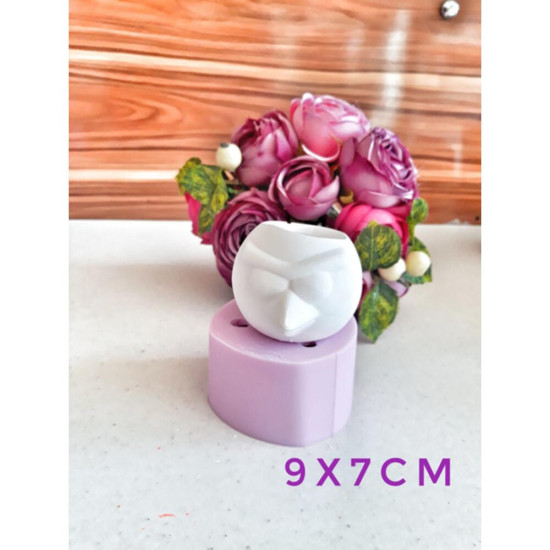 Angry Birds Kızgın Kuş Silikon Kalıp - HD0988