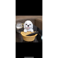 Sevimli Köpek Silikon Kalıp - HD1793