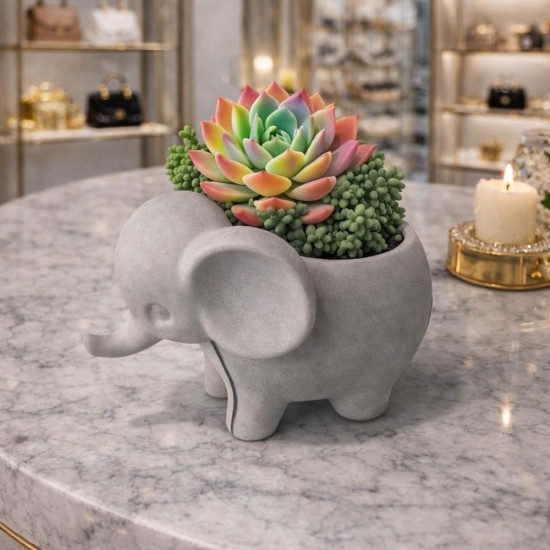 Fil Sukulent Saksı Silikon Kalıp KS3483