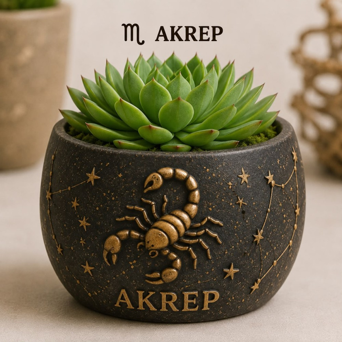 AKREP BURCU SAKSI SİLİKON KALIP