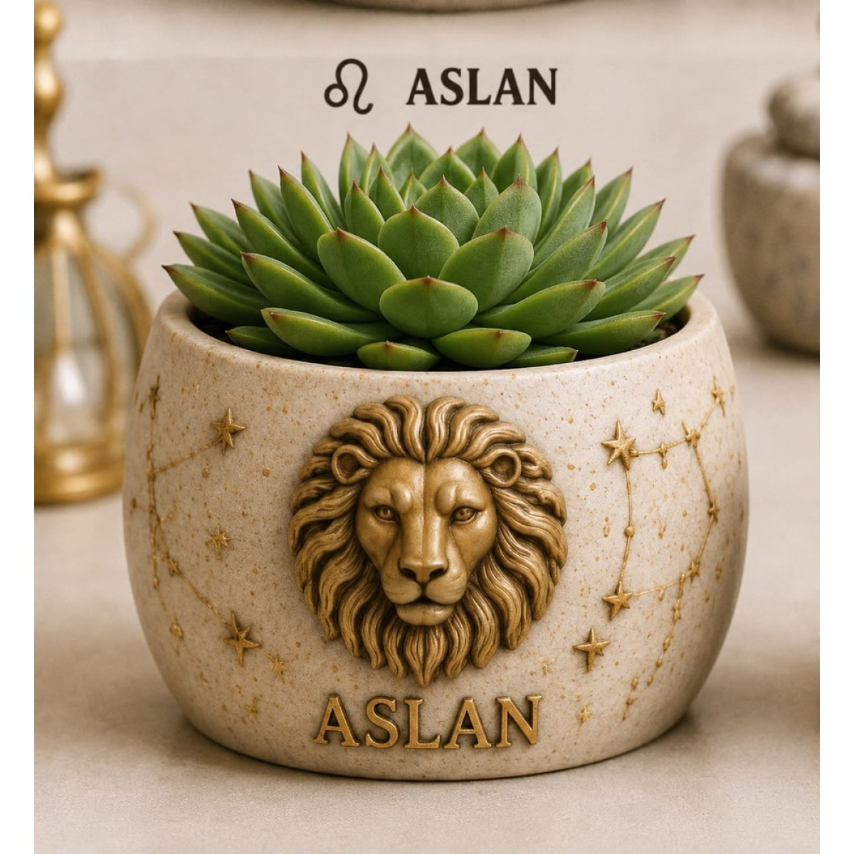 ASLAN BURCU SAKSI SİLİKON KALI