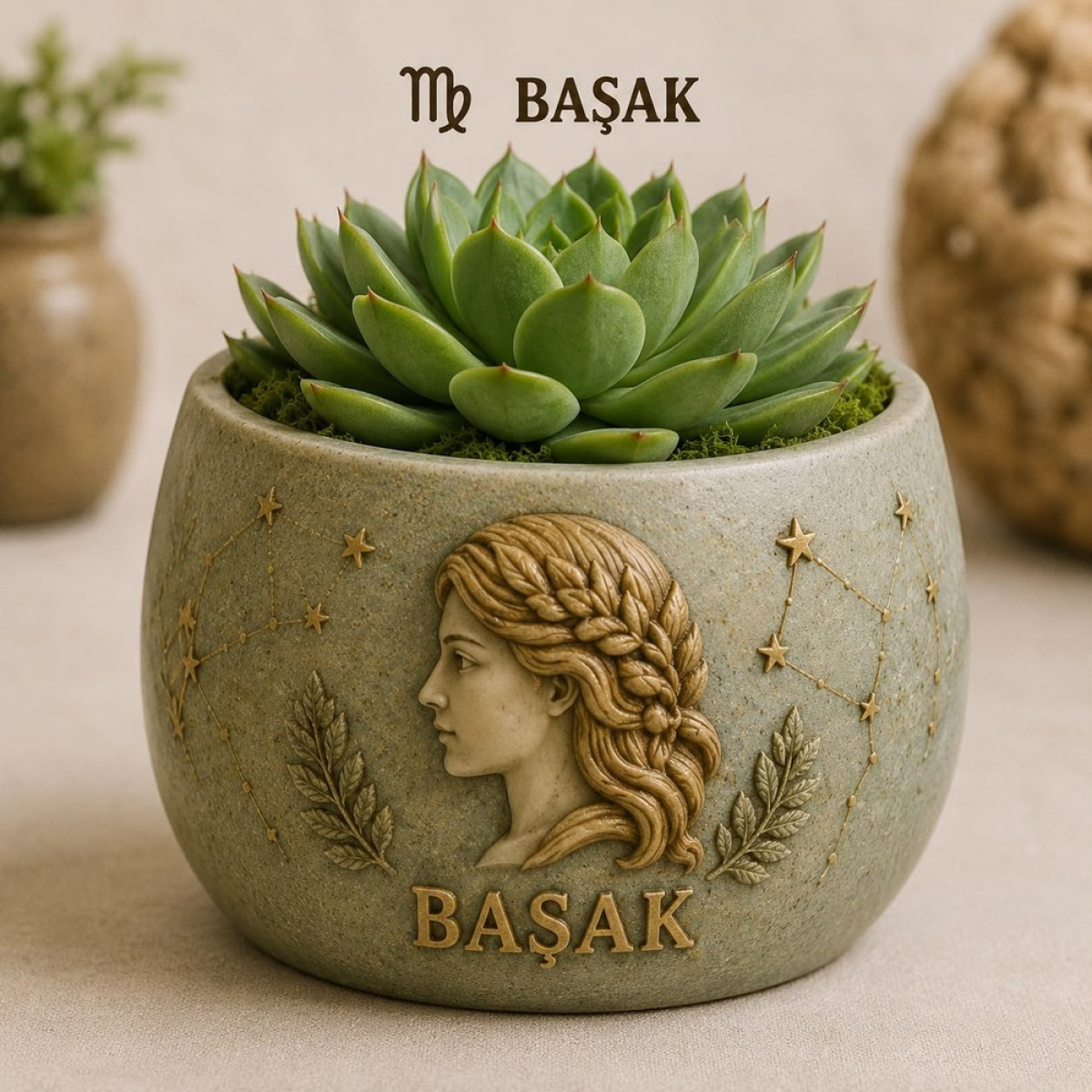 BAŞAK BURCU SAKSI  SİLİKON KALIP