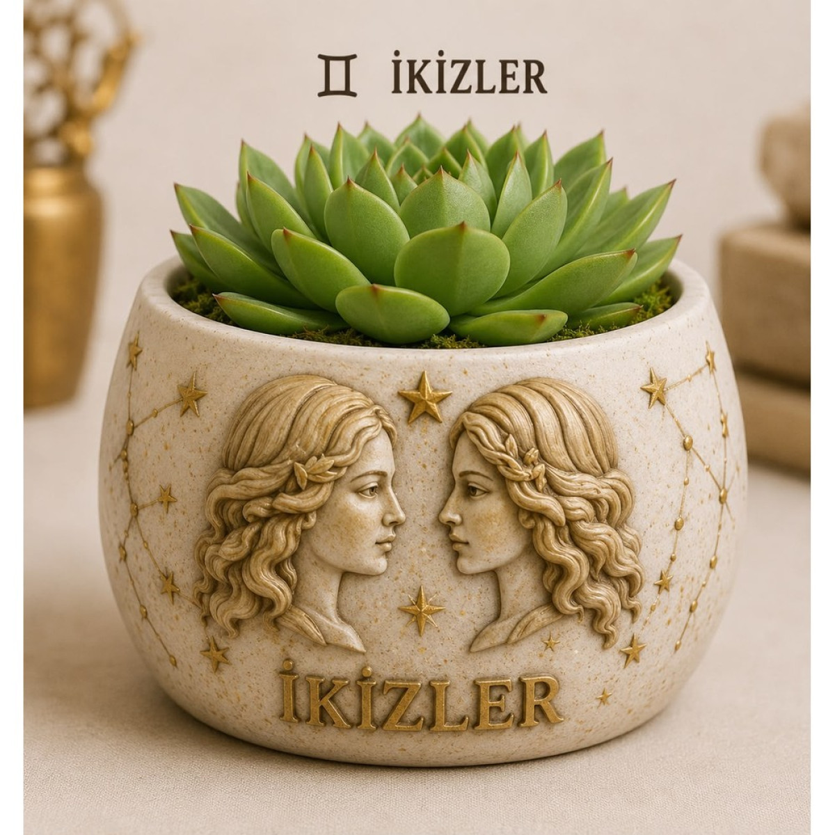 İKİZLER BURCU SAKSI SİLİKON KALIP
