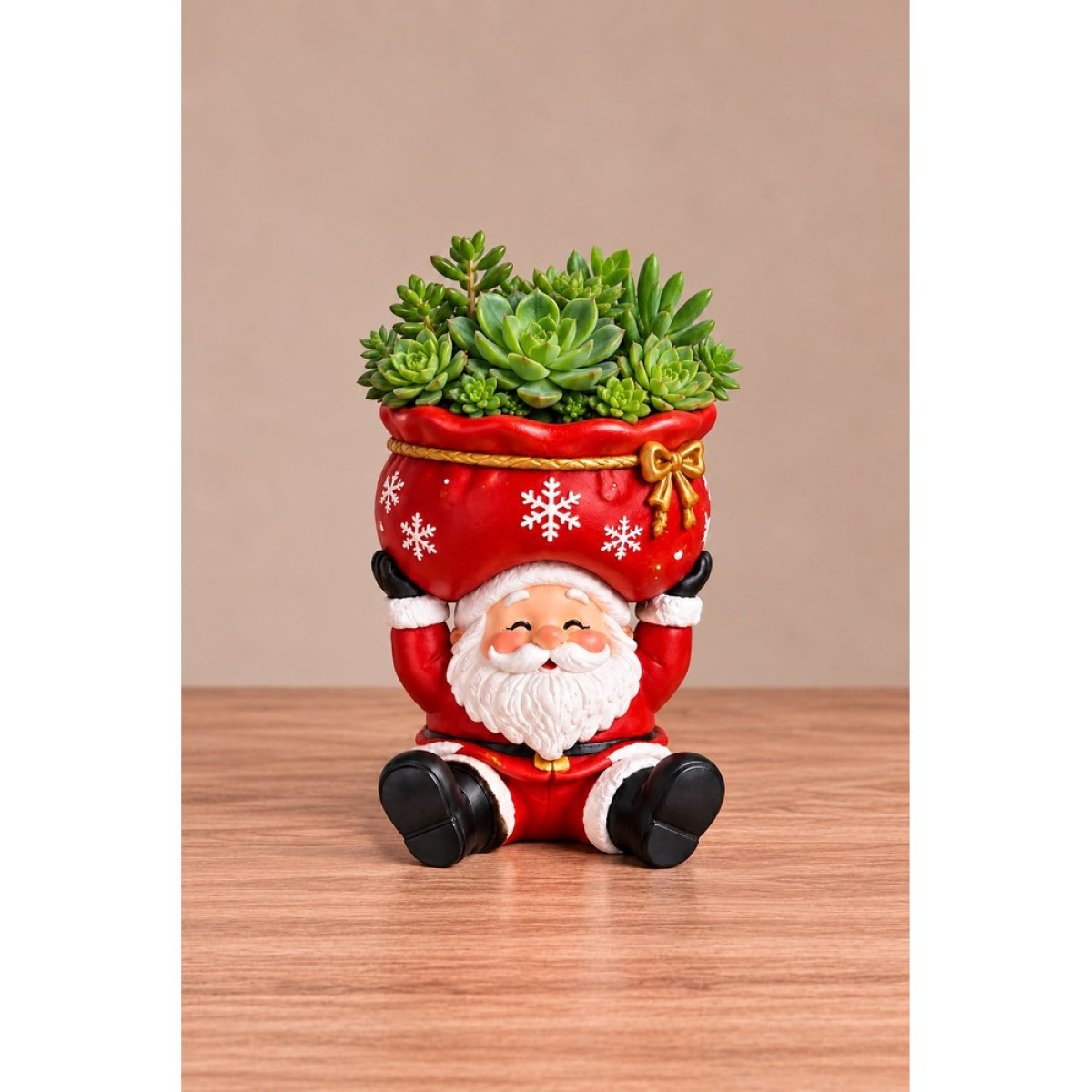 SUKULENTLİK NOEL BABA SİLİKON KALIP